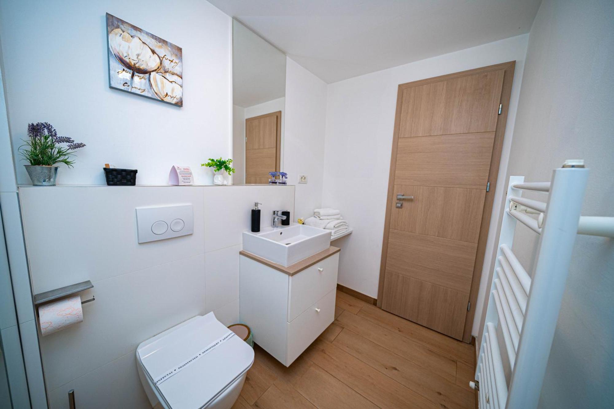 Friends Residence Apartments Timisoara Ngoại thất bức ảnh